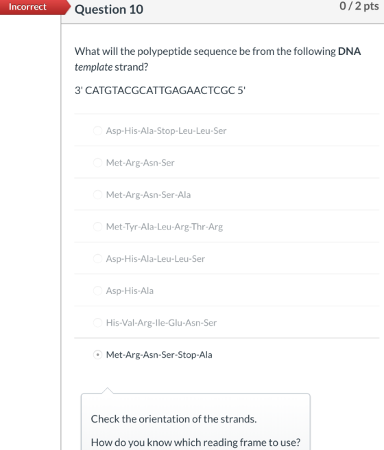 Incorrect Question 10 0/2 pts What will the polypeptide sequence be from the following DNA template strand? 3 CATGTACGCATTGA