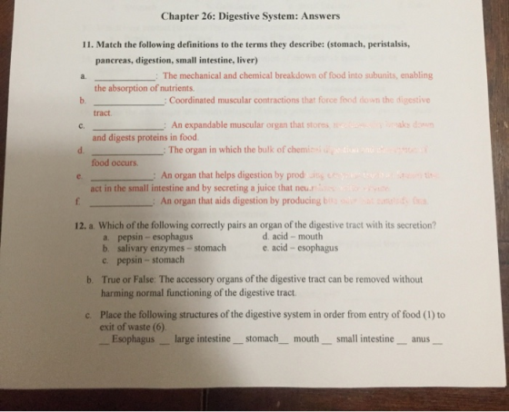 Chapter 26: Digestive System: Answers 11. Match the following definitions to the terms they describe: (stomach, peristalsis,