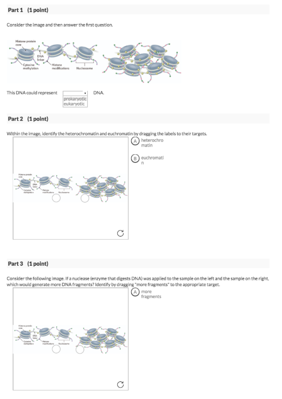 Part 1 (1 point) Consider the image and then answer the first question. Histone protein linker Cytosine methylation Histone m