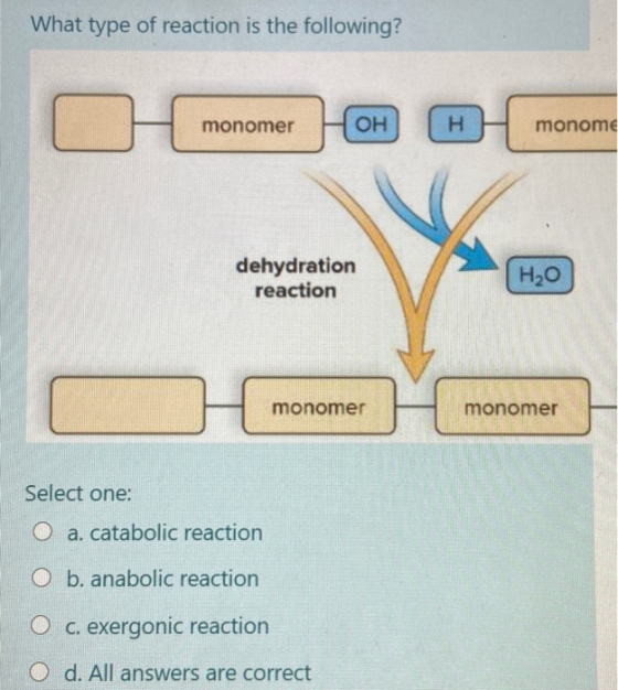 What type of reaction is the following? 1 monomer OH H monome dehydration reaction H2O H monomer H monomer Select one: O a. c
