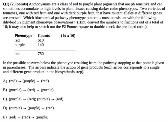 Anthocyanins are a class of red to purple plant pi