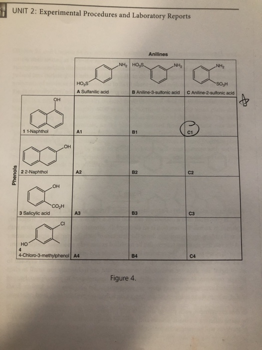 UNIT 2: Experimental Procedures and Laboratory Reports Anilines A Sulfanilic acid B Aniline-3-sulfonic acid C Aniline-2-sulfo