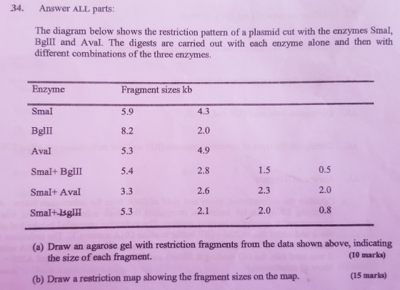 34. Answer ALL parts: The diagram below shows the restriction pattern of a plasmid cut with the enzymes Smal, Bglil and Aval.