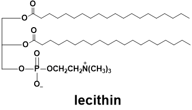 o ooo LOCH,CHN(CH3)3 lecithin