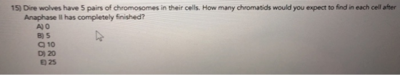 15) Dire wolves have 5 pairs of chromosomes in their cells. How many chromatids would you expect to find in each cell after A