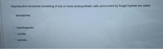 Reproductive structures consisting of one or more photosynthetic cells surrounded by fungal hyphae are called ascospores. bas