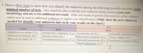 5. Draw a flow chart to show how you identify the unknown among the following possible microbes using minimal number of tests