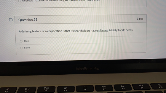TUI ILI ULII VILI TIITTIUNI UI LUISUPLIUI Question 29 1 pts A defining feature of a corporation is that its shareholders have