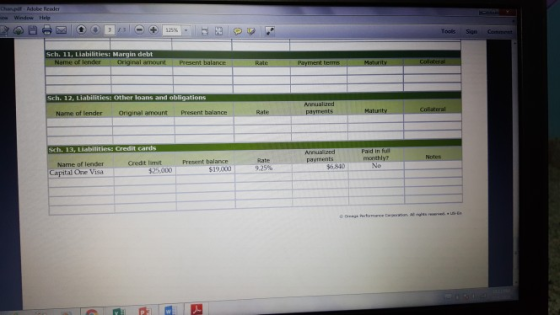 Tools Siqn in debt t lender or t Pr Sch. 12, Liabilities: other loans and obligations Annualized Name of lender Original amount Present balance Rate Paid in ful payments Narne of lender Credit limit Present balance No $19,000 9.25% 5.8410 Capital One Visa 525,000