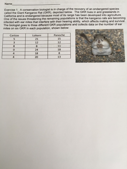 Name- Exercise 1. A conservation biologist is in charge of the recovery of an endangered species called the Giant Kangaroo Rat (GKR), depicted below. The GKR lives in arid grasslands in California and is endangered because most of its range has been developed into agriculture One of the issues threatening the remaining populations is that the kangaroo rats are becoming infected with ear mites that interfere with their hearing ability, which affects mating and survival. The biologist goes to three different GKR populations and collects data on the number of ear mites on six GKR in each population, shown below Carizzo 5 Panoche 15 12 8 0 4 4 Lokern 21 12 8 24 18 20 18 13