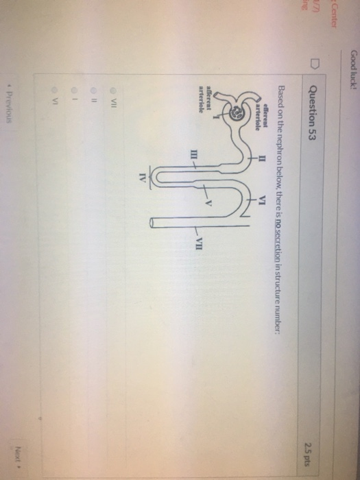 Good luck! Center D Question 53 ing 25 pts Based on the nephron below, there is no secretion in structure number: efferent II