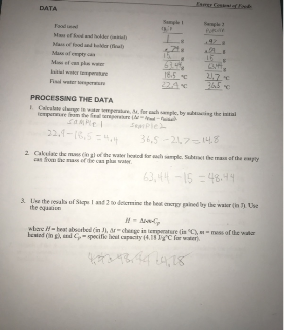 Energy Content of Foods DATA Sample 2 Popcorn Sample 1 Rip 1 218 Food used Mass of food and holder (initial) Mass of food and