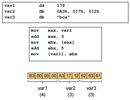 varl var2 var3 dd 179 db 0A3h, 017h 012h bca var1 eax. mov add eax, mov ebx r [eax] add ebx 5 mov [varlj ebx B3 00 00 00 A3 17 12 62 63 61 var1 Va Va (4) (3) (3)