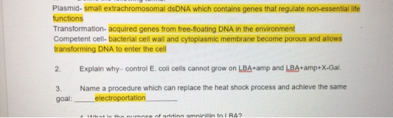 Plasmid-small extrachromosomal dsDNA which contains genes that regulate non-essential life functions Transformation-acquired