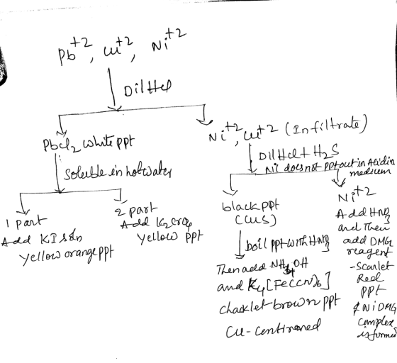 рь Nİt.ut2 (Infitrab) Aadia 2 Pas yellerd orang PP Scanlet
