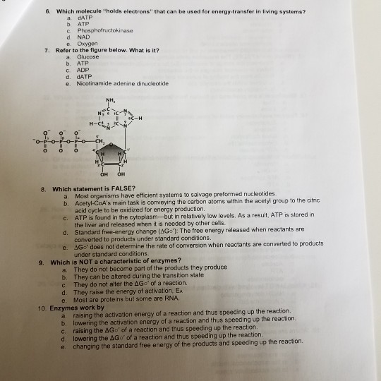 6. Which molecule holds electrons that can be used for energy transfer in living systems? a dATP b ATP c. Phosphofructokinase d. NAD e. Oxygen 7. Refer to the figure below. What is it? a. Glucose b. ATP C ADP d. dATP e. Nicotinamide adenine dinucleotide NH o O 8. Which statement is FALSE? a. Most organisms have efficient systems to salvage preformed nucleotides b. Acetyl-CoAs main task is conveying the carbon atoms within the acetyl group to the citric acid cycle to be oxidized for energy production. c. ATP is found in the cytoplasm--but in relatively low levels. As a resuit, ATP is stored in the liver and released when it is needed by other cells. d. Standard free-energy change (AGo): The free energy released when reactants are converted to products under standard conditions e. ΔGo does not determine the rate of conversion when reactants are converted to products under standard conditions 9. Which is NOT a characteristic of enzymes? a. They do not become part of the products they produce b. They can be altered during the transition state C. They do not alter the △Go of a reaction. d. They raise the energy of activation, Ea e. Most are proteins but some are RNA, 10. Enzymes work by a. raising the activation energy of a reaction and thus speeding up the reaction. b. lowering the activation energy of a reaction and thus speeding up the reaction. c, raising the ΔGo of a reaction and thus speeding up the reaction d. lowering the AGoof a reaction and thus speeding up the reaction. e. changing the standard free energy of the products and speeding up the reaction.
