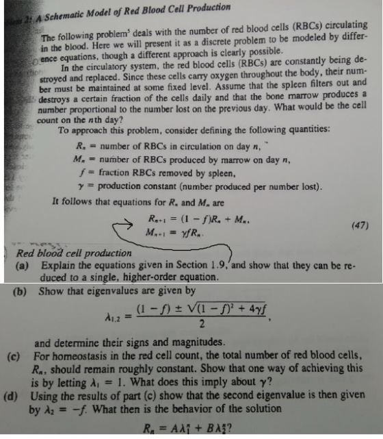 A Schematic Model of Red Blood Cell Production The following problem deals with the number of red blood cells (RBCs) circulat