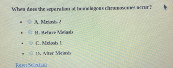 When does the separation of homologous chromosomes occur? • O A. Meiosis 2 • O B. Before Meiosis • . C. Meiosis 1 D. After Me