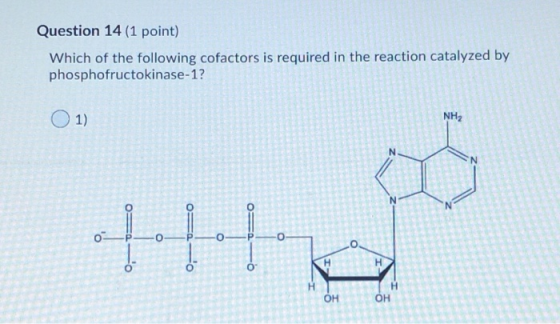 Question 14 (1 point) Which of the following cofactors is required in the reaction catalyzed by phosphofructokinase-1? o= =-