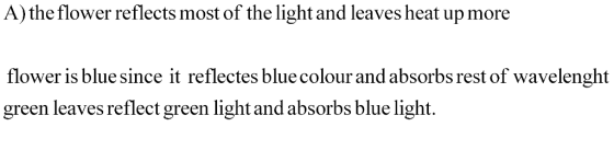A) the flower reflects most of the light and leaves heat up more flower is blue since it reflectes blue colour and absorbs rest of wavelenght green leaves reflect green light and absorbs blue light.