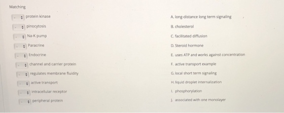 Matching protein kinase :pinocytosis Na-K pump : Paracrine A. long-distance long term signaling B. cholestero C. facilitated diffusion D. Steroid hormone E. uses ATP and works against concentration F active transport example G local short term signaling H. liquid droplet internalization L phosphorylation J. associated with one monolayer Endocrine .channel and carrier protein regulates membrane fluidity : active transport intracellular receptor :peripheral protein