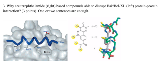 3. Why are terephthalamide (right) based compounds able to disrupt Bak/Bcl-XL (left) protein-protein interaction? (3 points).