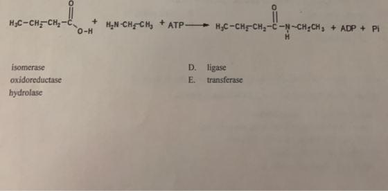 0 0 о-н D. ligase E. transferase isomerase oxidoreductase hydrolase