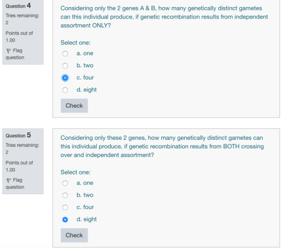 Question 4 Tries remaining: Considering only the 2 genes A & B, how many genetically distinct gametes can this individual pro