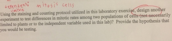 Using the staining and counting protocol utilized in this laboratory exercise, design another experiment to test differences in mitotic rates among two populations of cetts (net necessarily limited to plants or to the independent variable used in this lab)? Provide the hypothesis that you would be testing.