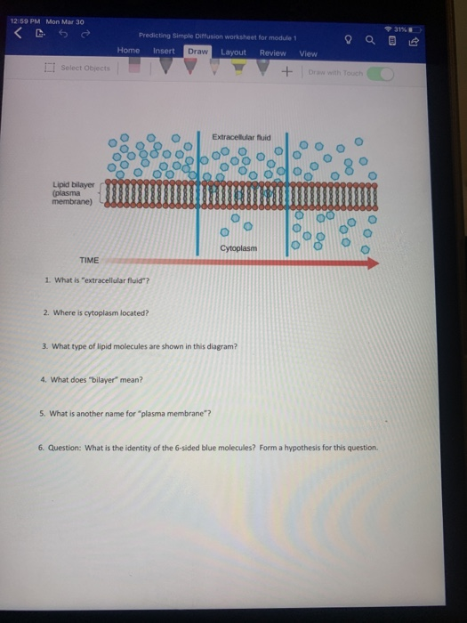 12:59 PM Mon Mar 30 9 31% Predicting Simple Diffusion worksheet for module 1 Home Insert Draw Layout Review View + Dwwwth Tou