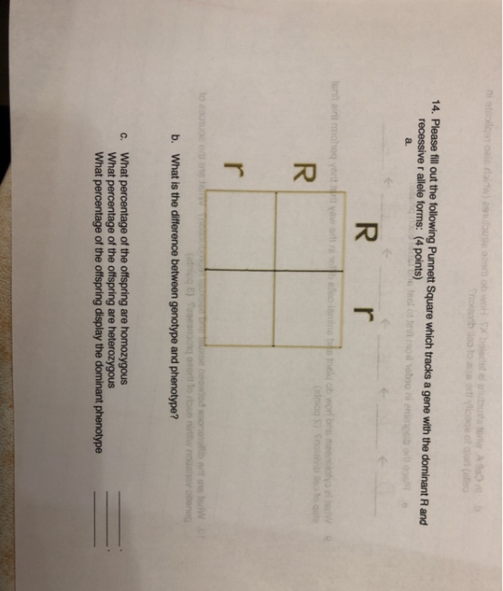 nitrollarole now) su o ni ob WoH X Sale della Sholab lso to vlogo 14. Please fill out the following Punnett Square which trac