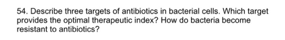 54. Describe three targets of antibiotics in bacterial cells. Which target provides the optimal therapeutic index? How do bac