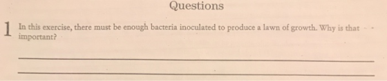 Questions In this exercise, there must be enough bacteria inoculated to produce a lawn of growth. Why is that important?