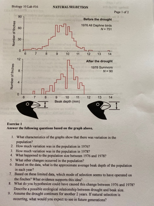 Biology 10 Lab #16 NATURAL SELECTION Page 1 of 2 90 donna Before the drought 1976 All Daphne birds N = 751 Number of finches