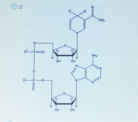 O2) О- 2 о —p= NH2 ОН ОН Онон