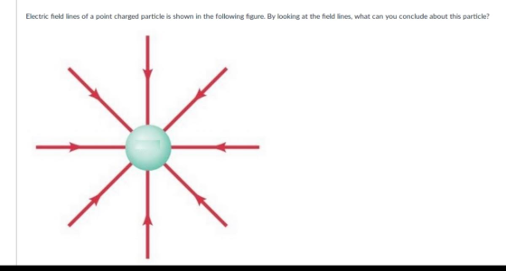 Electric field lines of a point charged particle is shown in the following figure. By looking at the field lines, what can yo