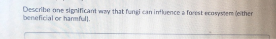 Describe one significant way that fungi can influence a forest ecosystem (either beneficial or harmful).