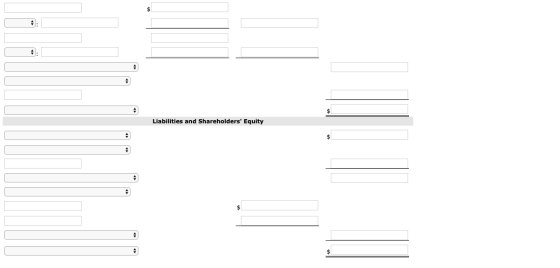 Liabilities and Shareholders Equity