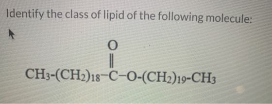 Identify the class of lipid of the following molecule: CH3-(CH2)18-C-O-(CH2)19-CH3