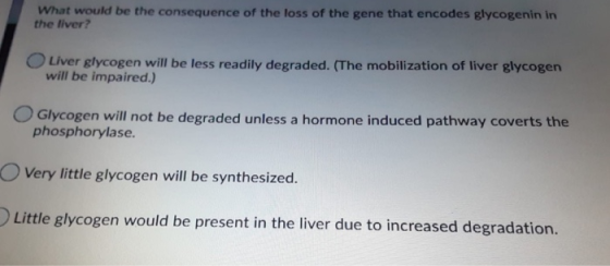 What would be the consequence of the loss of the gene that encodes glycogenin in the liver? Liver glycogen will be less readi