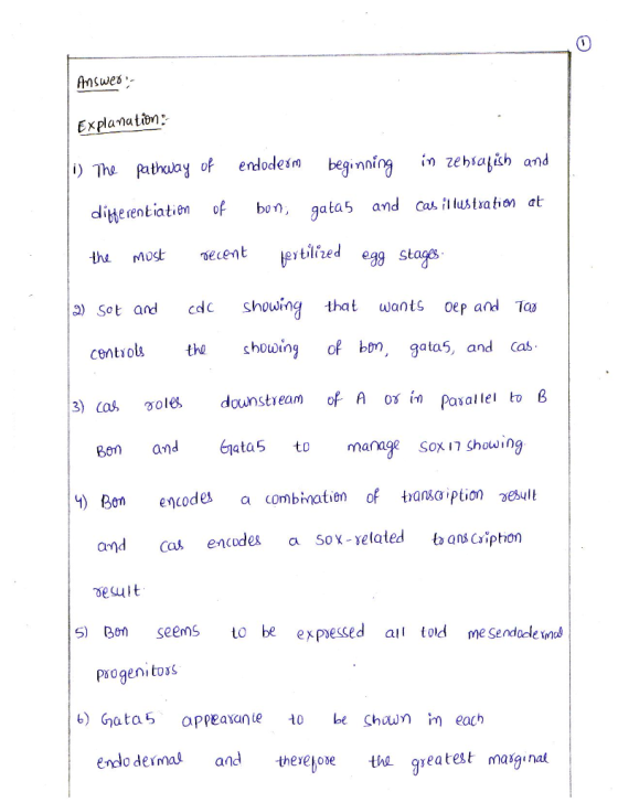 Explanatidn? ) The pathuby of endodesm beining zebtagah and diterentiatien gata5 and Cas. illustratin at the o seenttlrzed eg