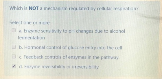 Which is NOT a mechanism regulated by cellular respiration? Select one or more: a. Enzyme sensitivity to pH changes due to al