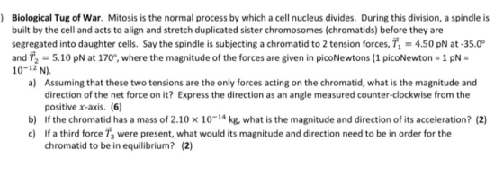 ) Biological Tug of War. Mitosis is the normal process by which a cell nucleus divides. During this division, a spindle is bu