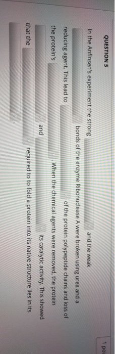 QUESTIONS 1 poi In the Anfinsens experiment the strong and the weak bonds of the enzyme Ribonuclease A were broken using ure