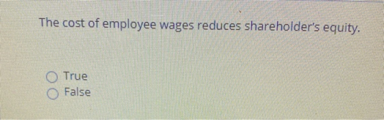 The cost of employee wages reduces shareholders equity. True False