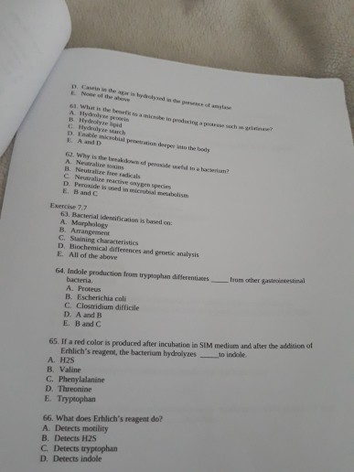ydrolyse starch D. En microbial p AD o der wo the body Why is the weak down operaside walioch A News B. Nel free radicals r e