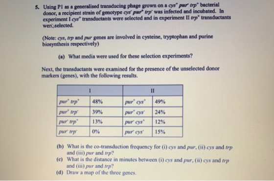 5. Using Pl as a generalised transducing phage grown on a cys pur trp bacterial donor, a recipient strain of genotype cys p