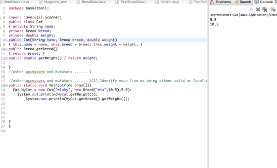 n IDedObject.java J Magazine.java n BloodData-Java J TestBloodDataj J Patient-Java J] TestPati , problems.) Search Console 1