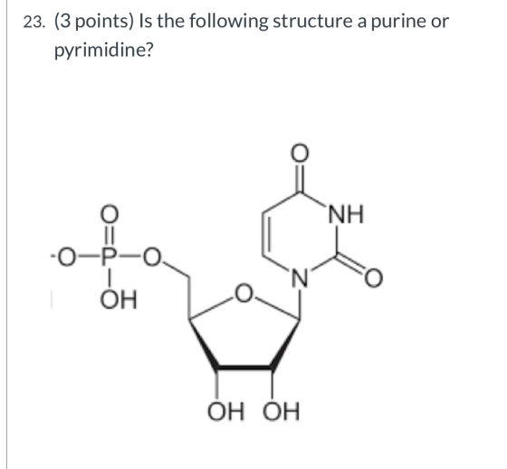 23. (3 points) Is the following structure a purine or pyrimidine? о NH -О-РНО, ОН ОН ОН