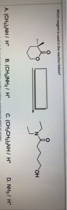 Which reagent is used in the reaction below? & vera A. (CH3)2NH7 H+ B. (CH3)NH27 H C. (CH3CH2)2NH/ H D. NH37 H+